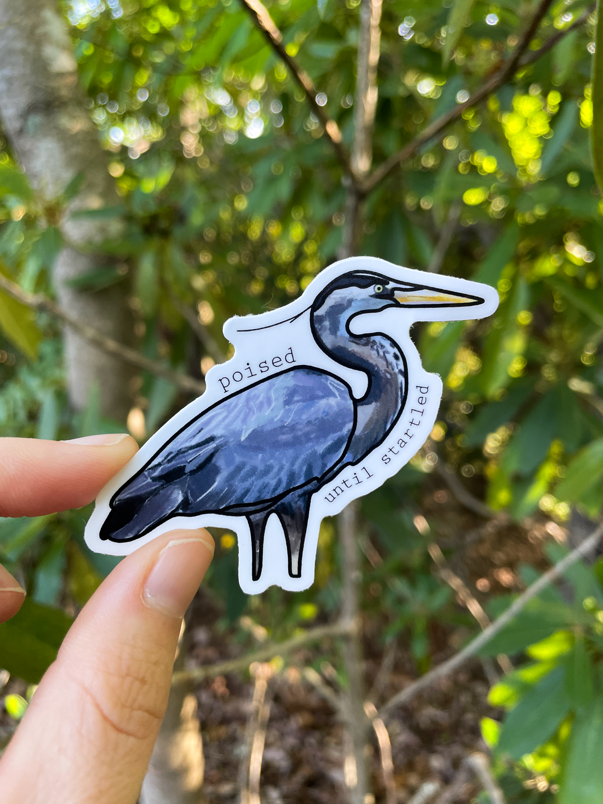 Great-Blue-Heron.png