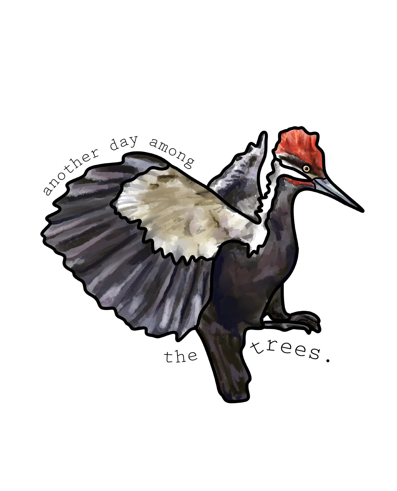 Pileated-Woodpecker_with-txt.jpeg