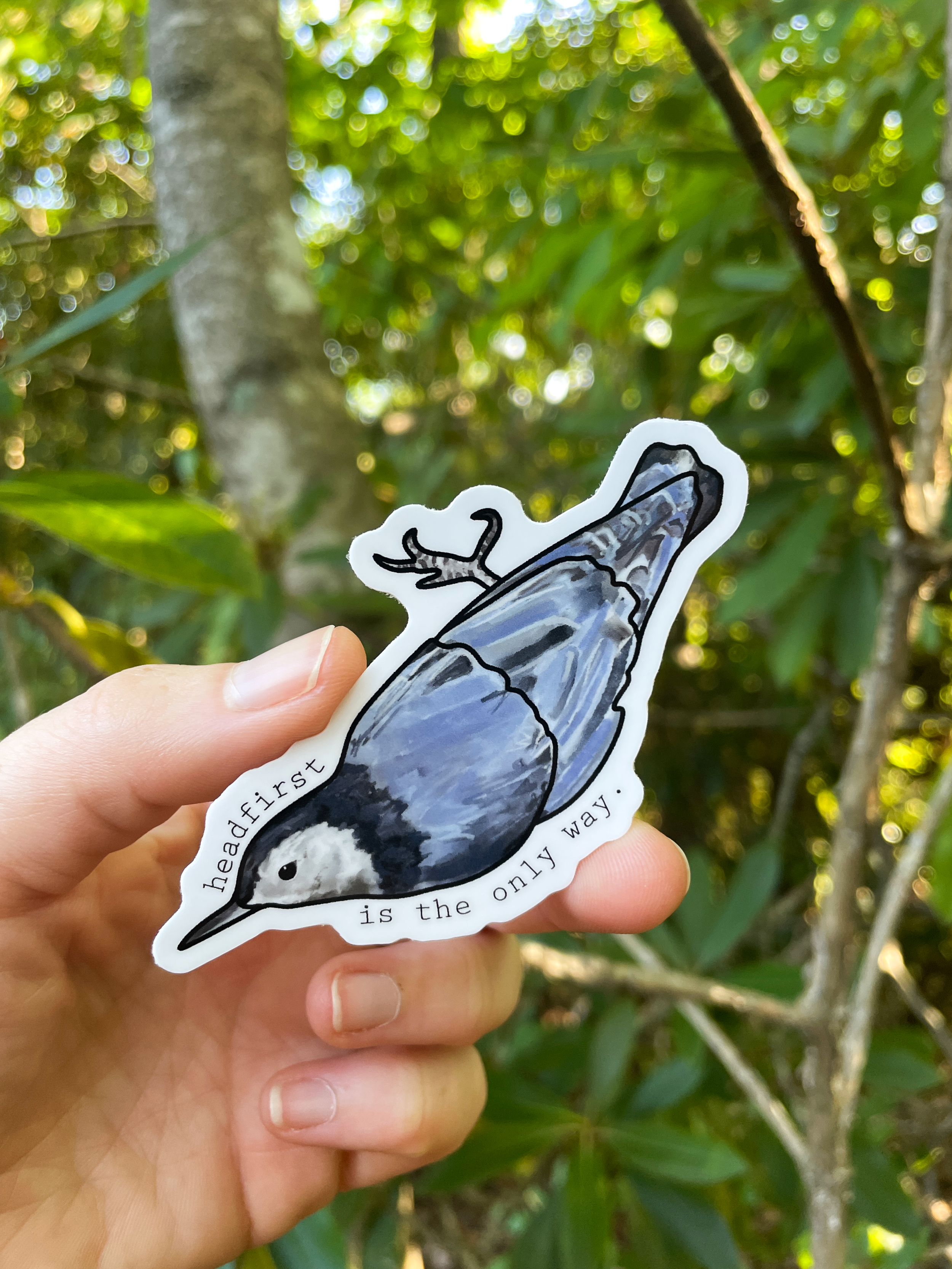 White-Breasted-Nuthatch.png