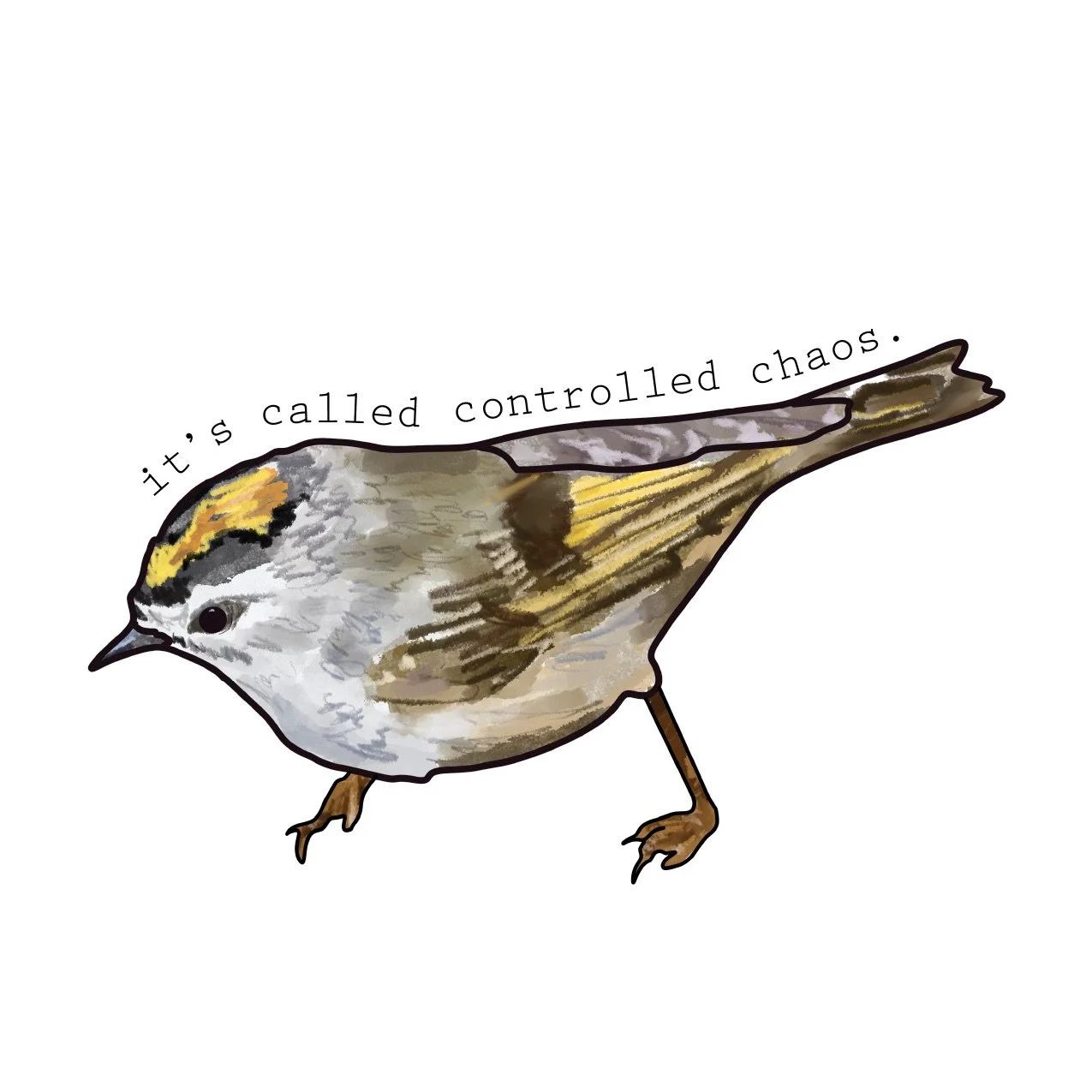 Golden-Crowned-Kinglet_with-txt.jpeg