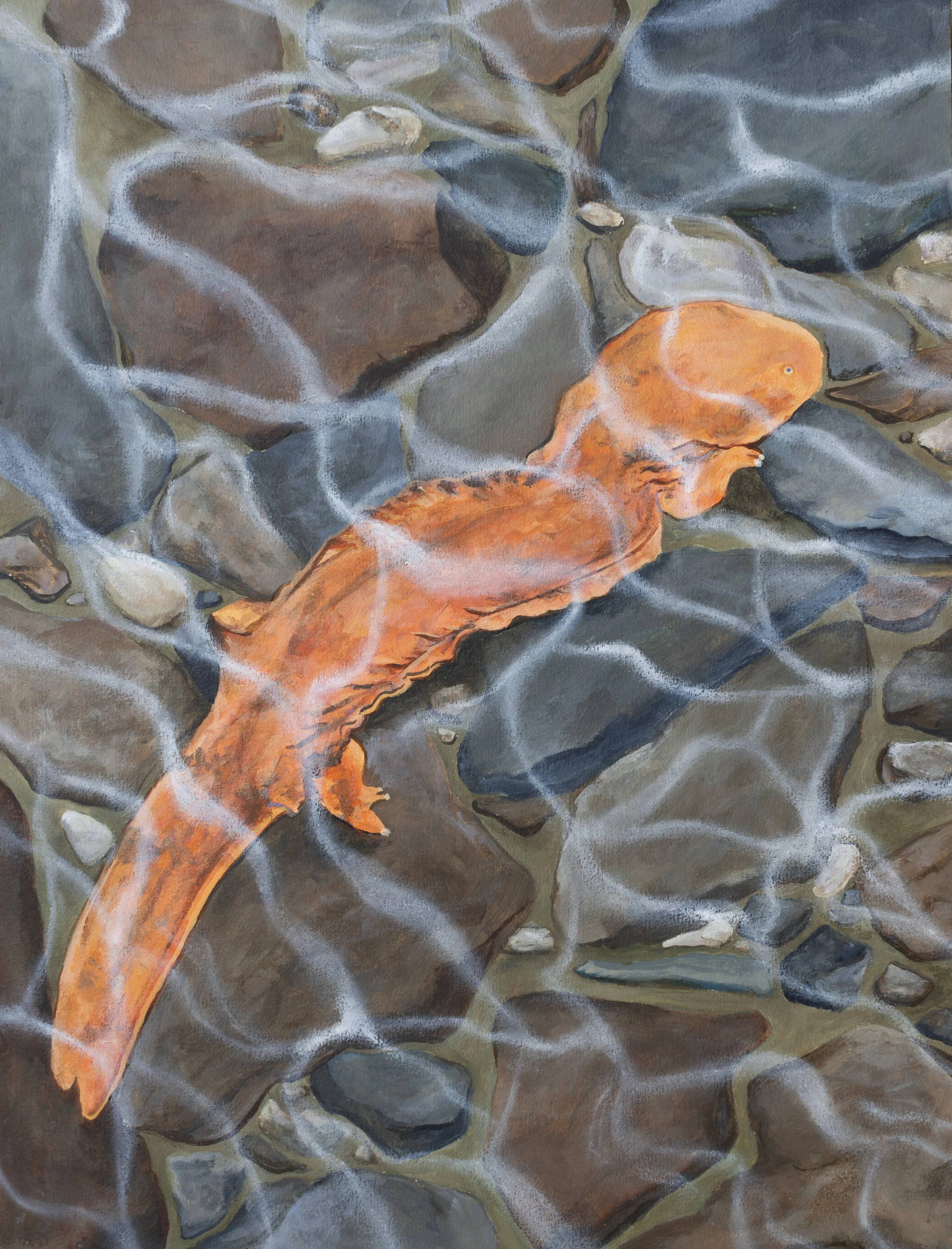 On-The-Rocks.jpg