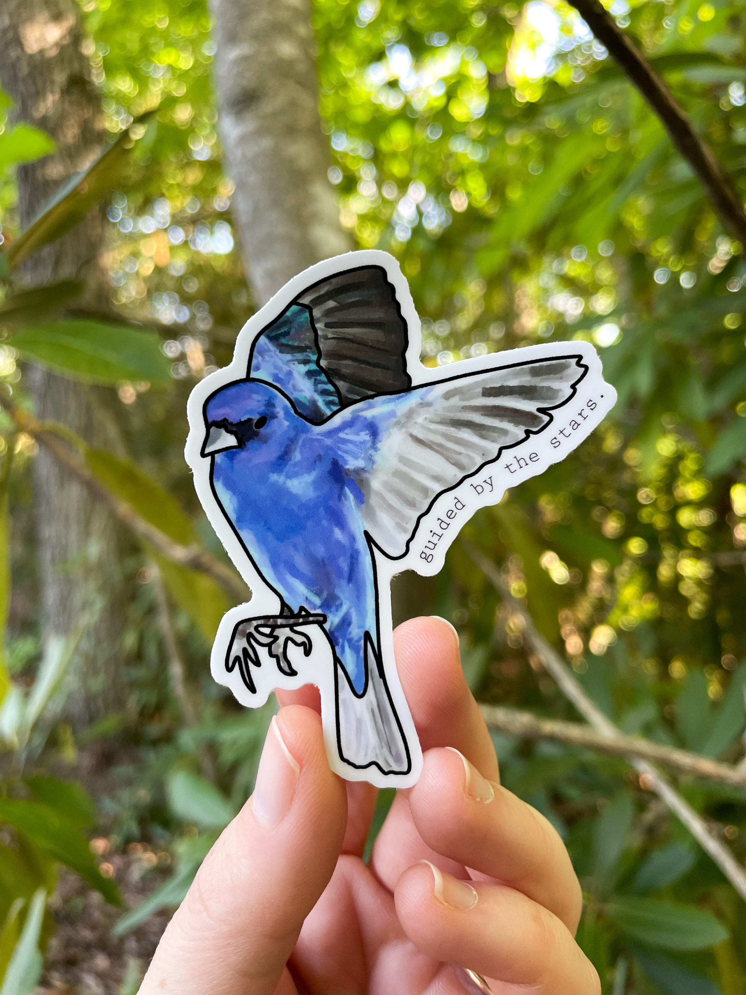 Indigo-Bunting.png