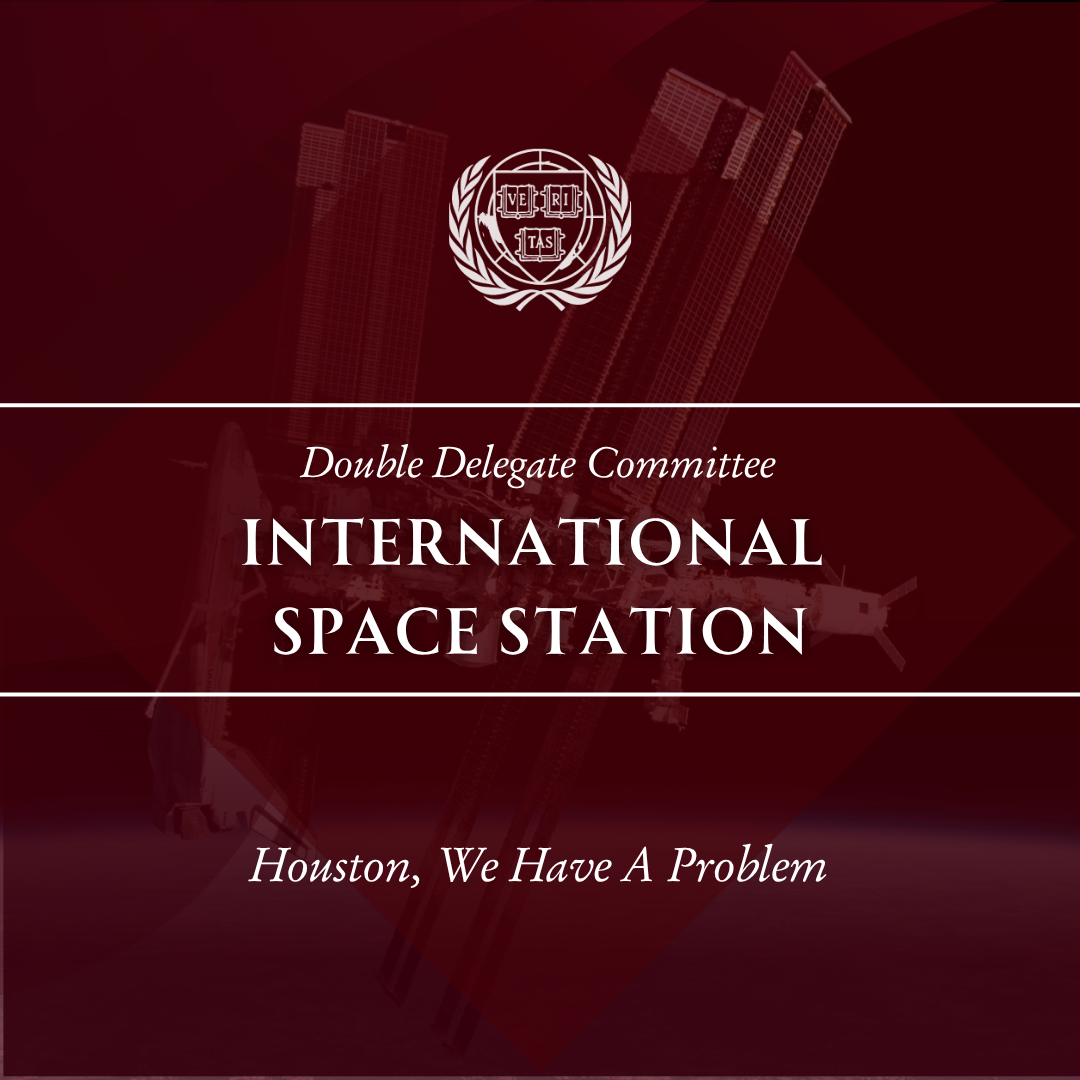 ECOSOC Committee Icons - HNMUN 2027 (1).png