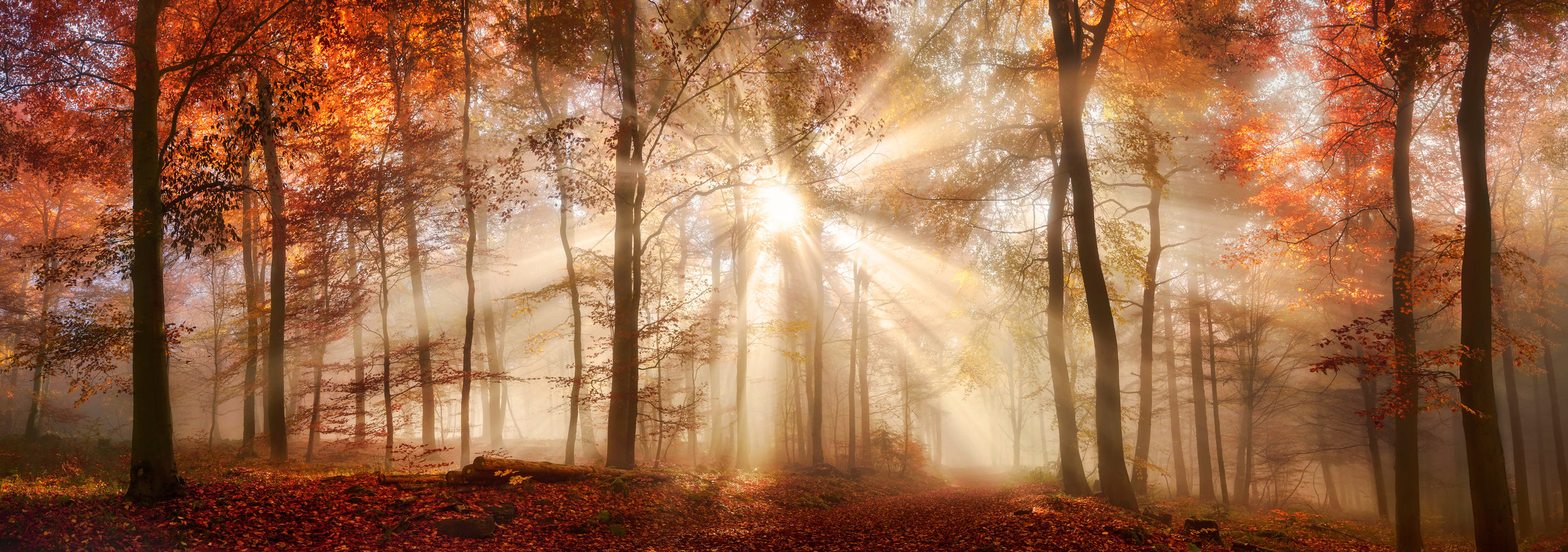 Photo by Smileus/iStock / Getty Images