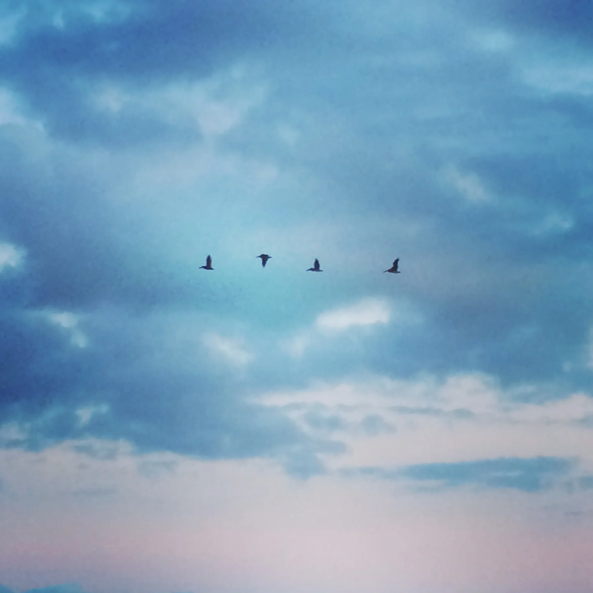 On being a train wreck