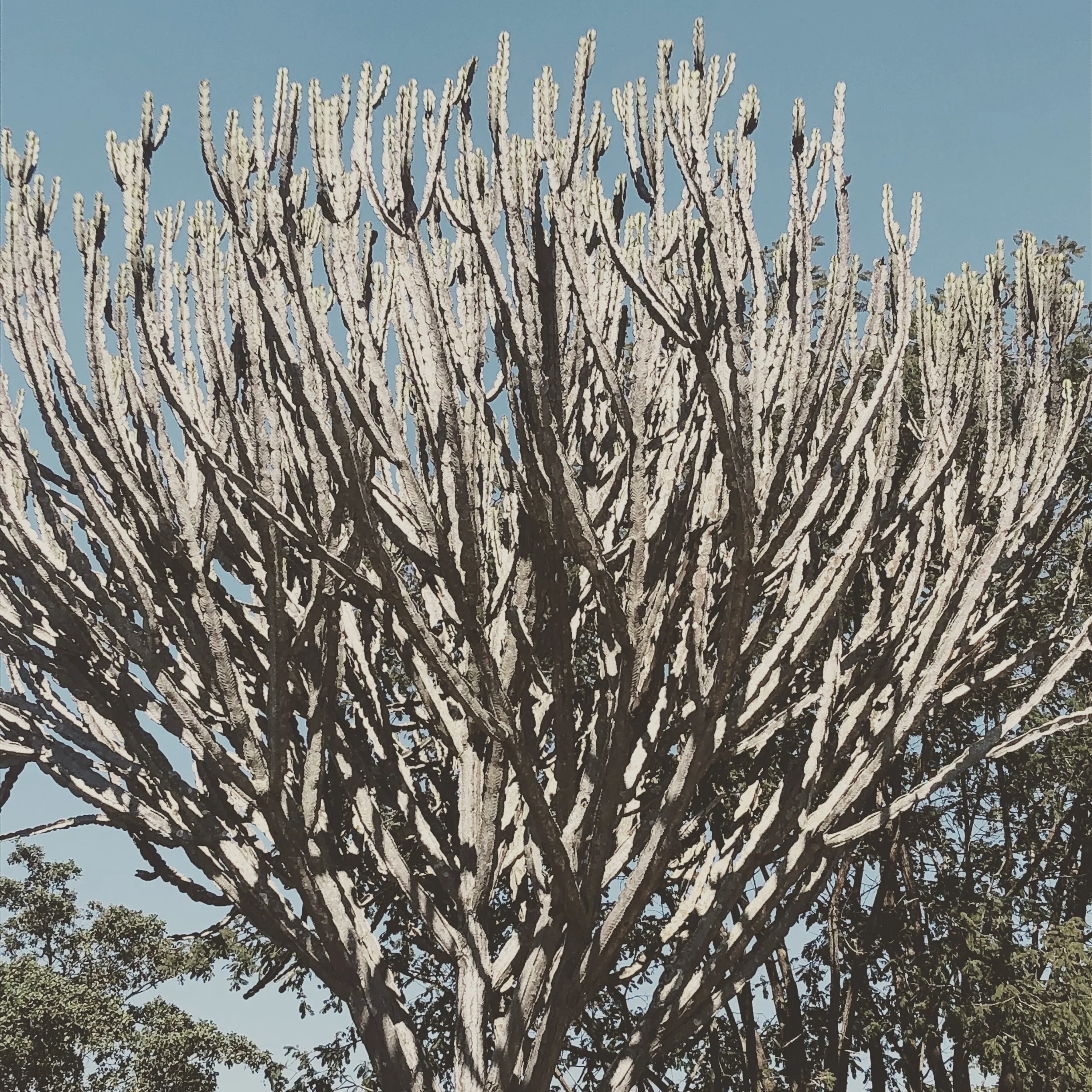 On being still
