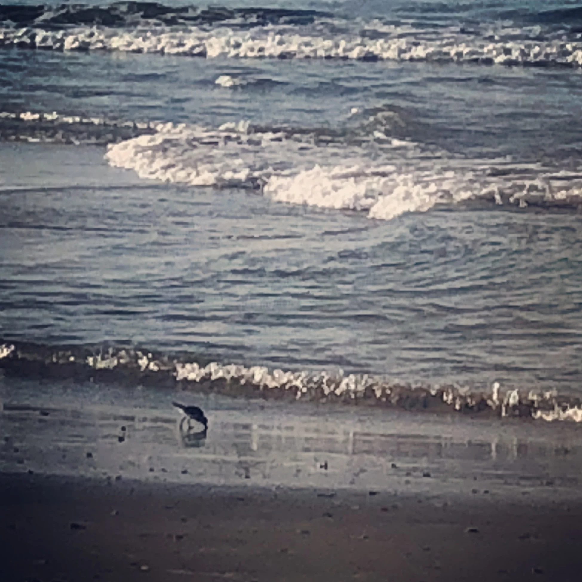 On the ocean