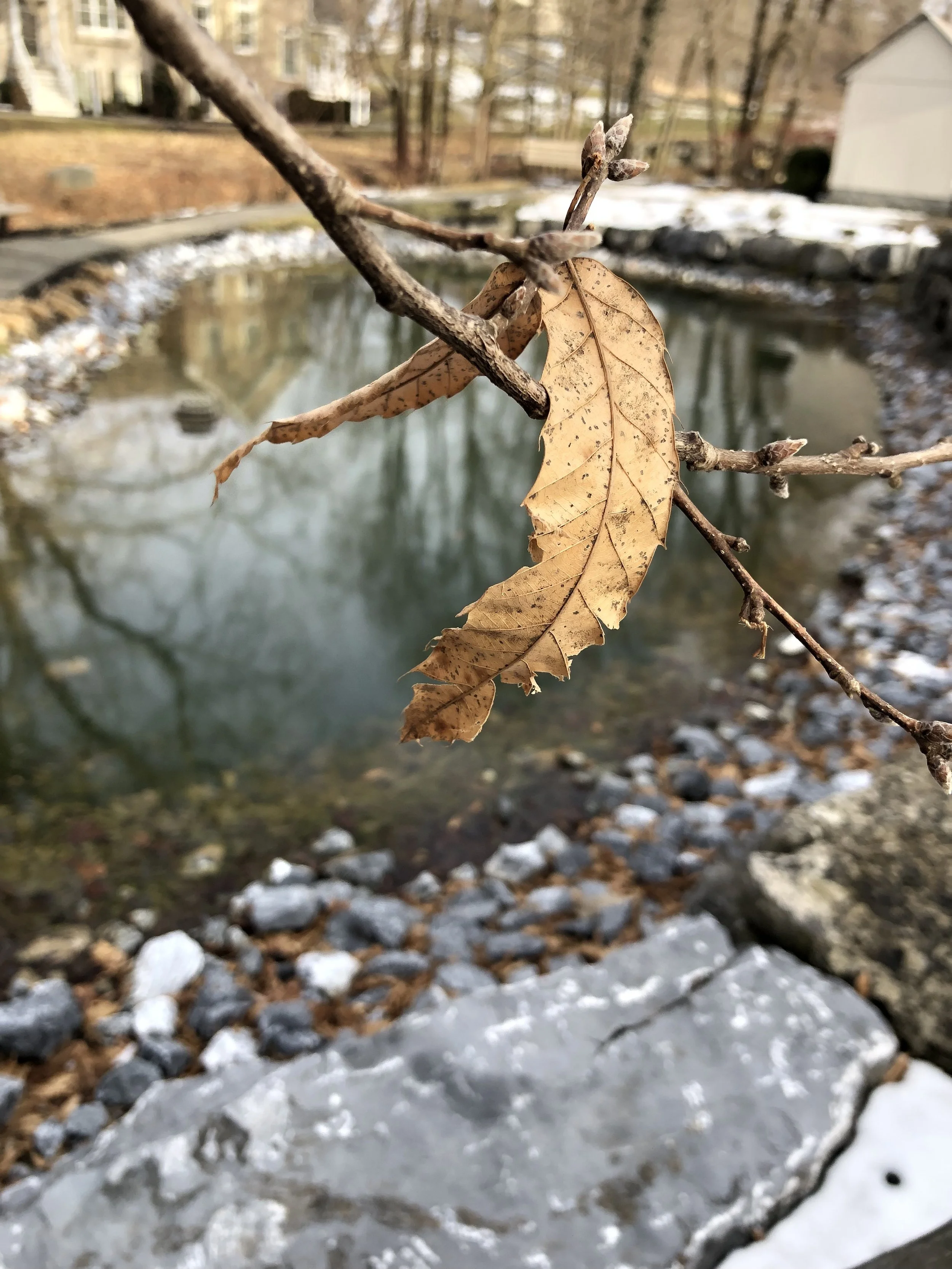 On the hanging on