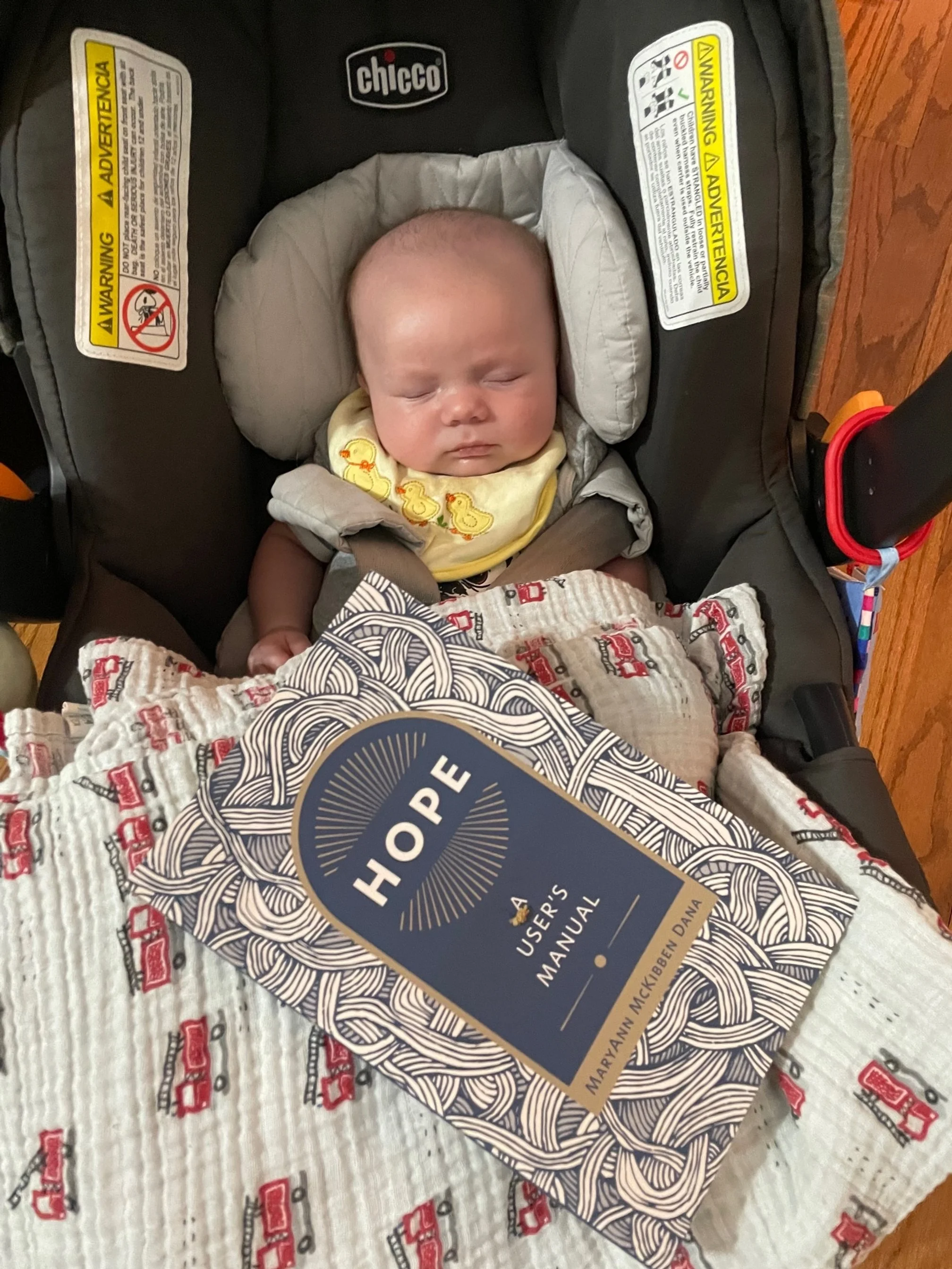 Liz Climo Feed Me Donuts Job Hunting