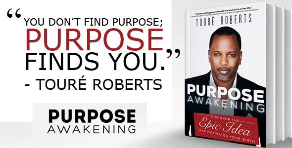 purposeawakeningbookquote