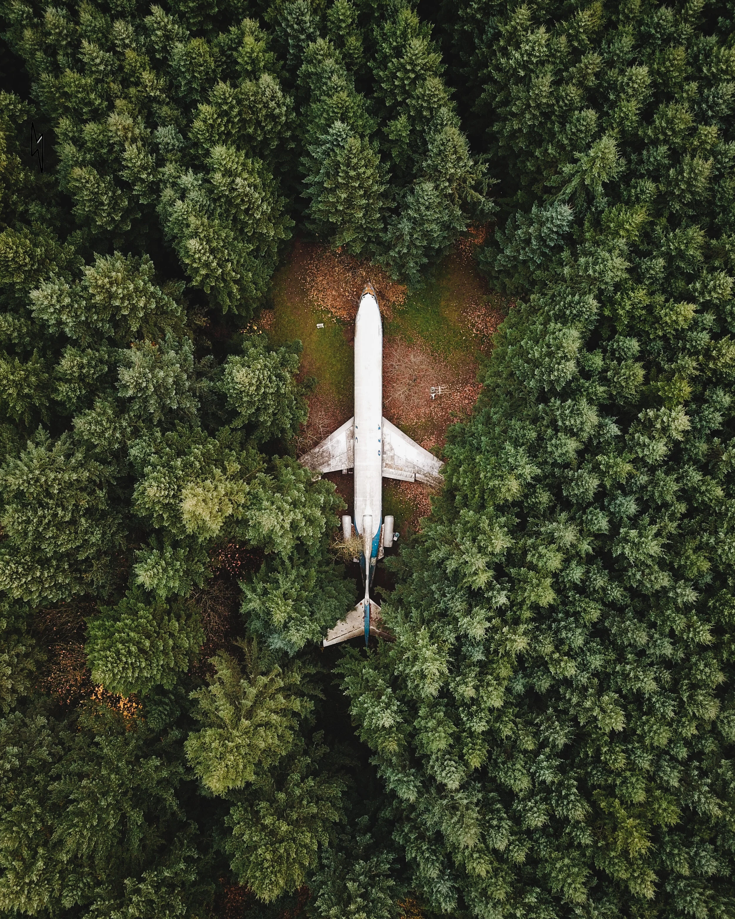 Airplane in the Woods-.jpg
