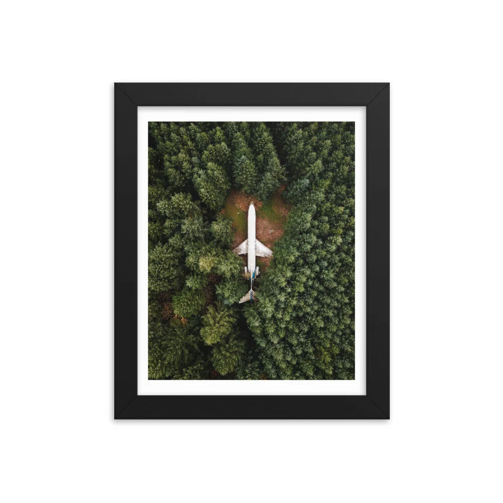 Airplane-in-the-Woods-_printfile_default_mockup_Transparent_Transparent_8x10_Black.jpg