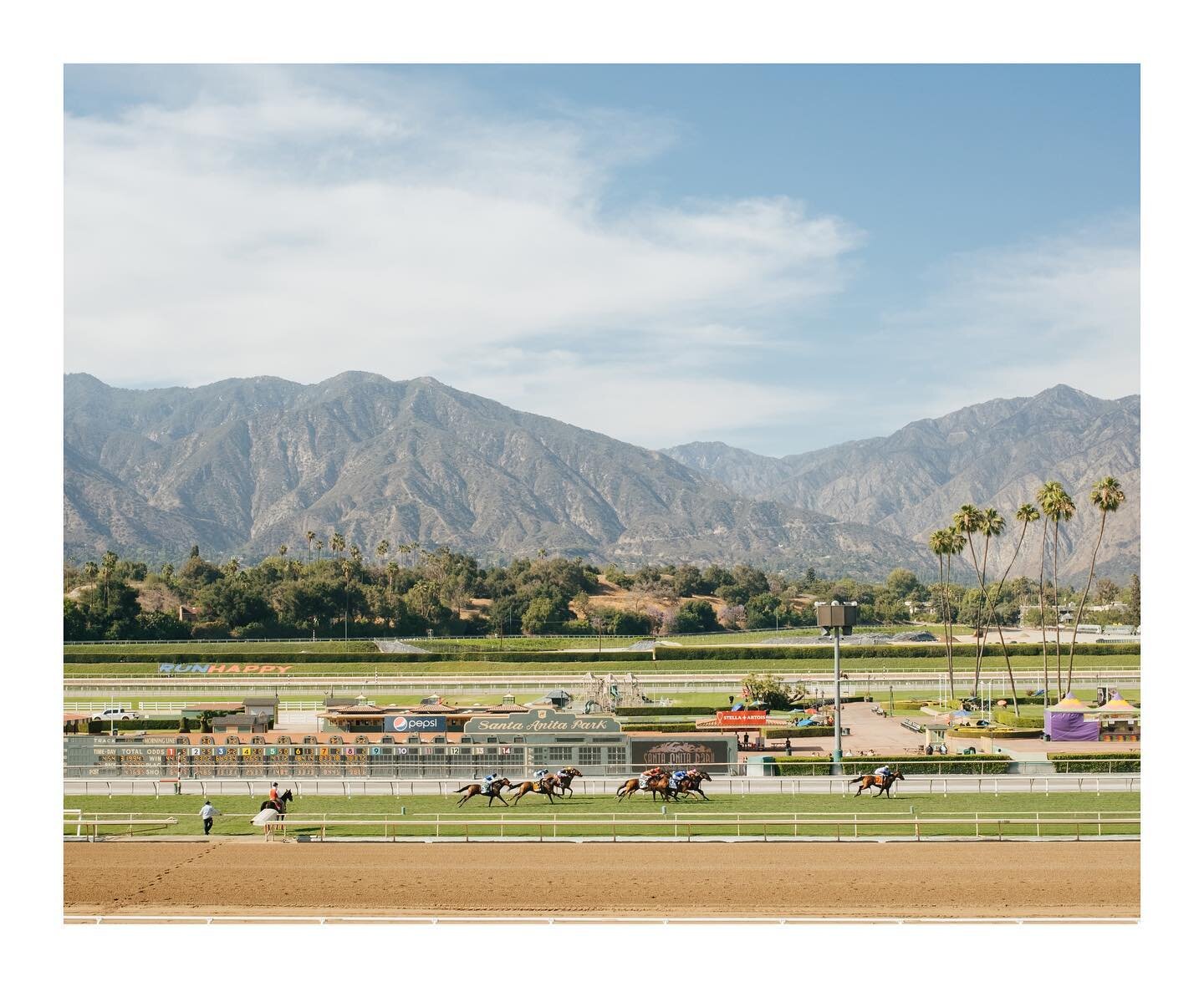 A day at the races part 1. 🐎