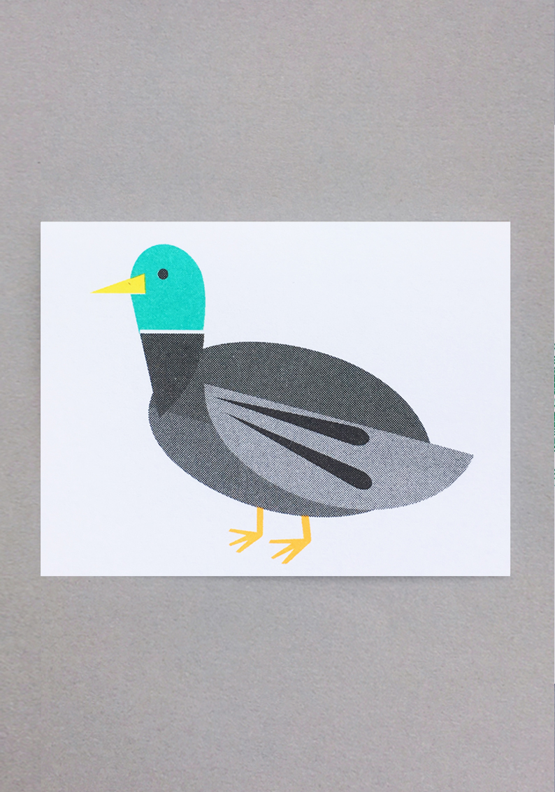 Mallard_Card.jpg