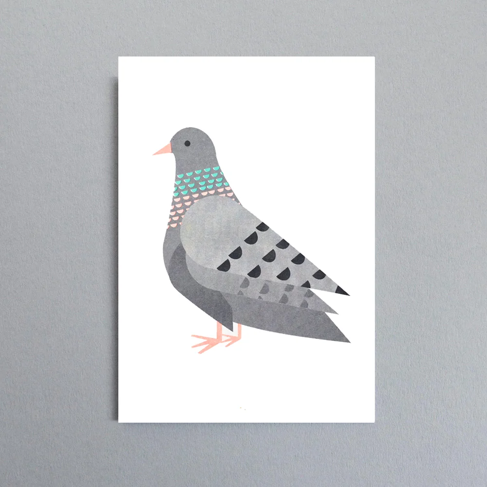 Pigeon_A4_WB.jpg