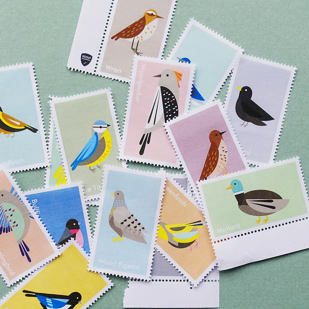 Birds_ScoutEditions_Set2.jpg