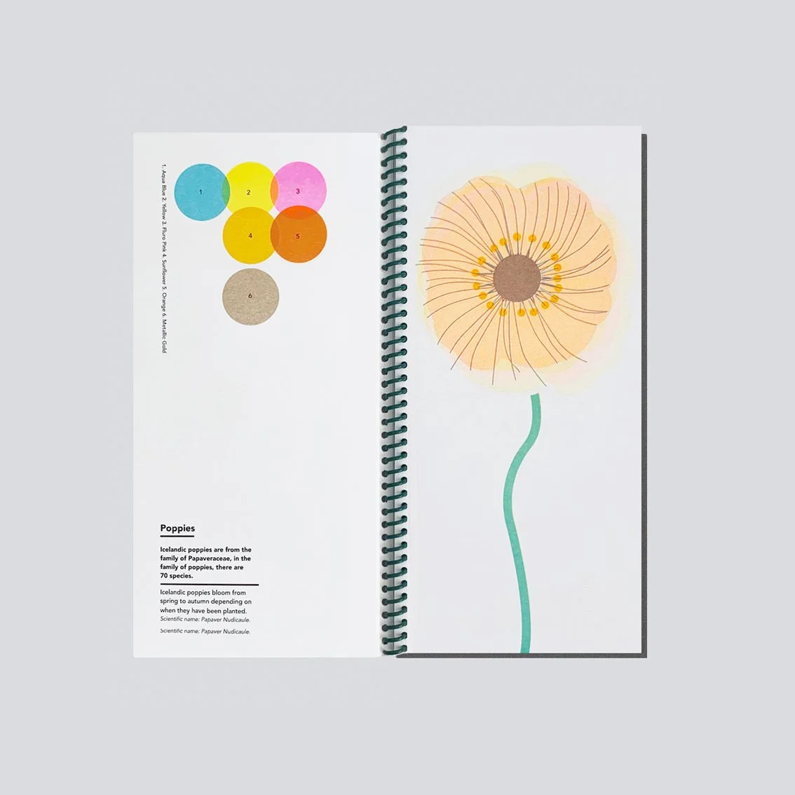 SE_FlowerBook16_LR.jpg