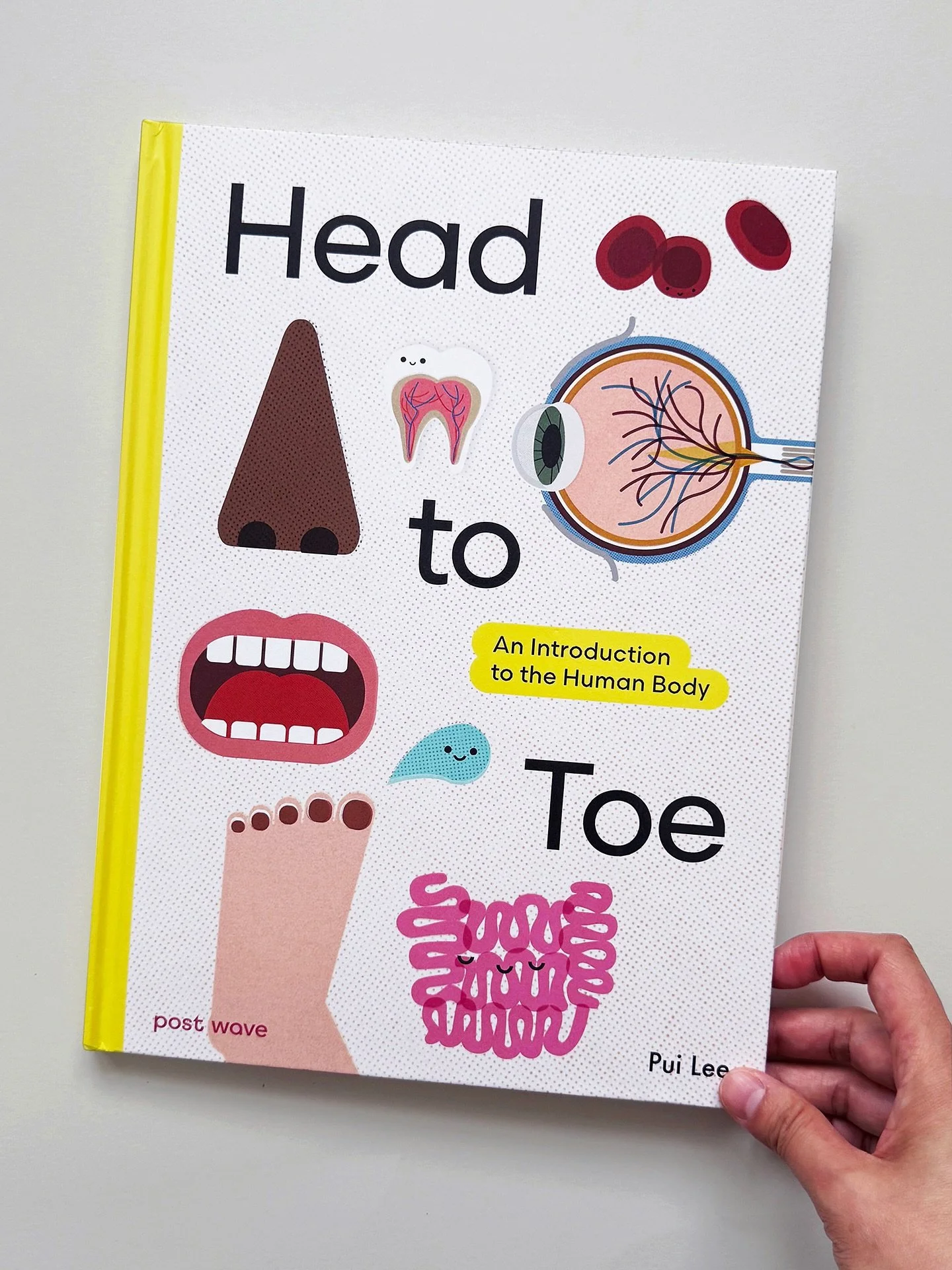 It&rsquo;s Publication day!&nbsp;
&mdash;
Head to Toe. A fun, fact-filled book all about the human body and how it all works, from the top of your head to the tips of your toes 🧠🦶
Packed with fascinating, bite-sized info and playful illustrations &