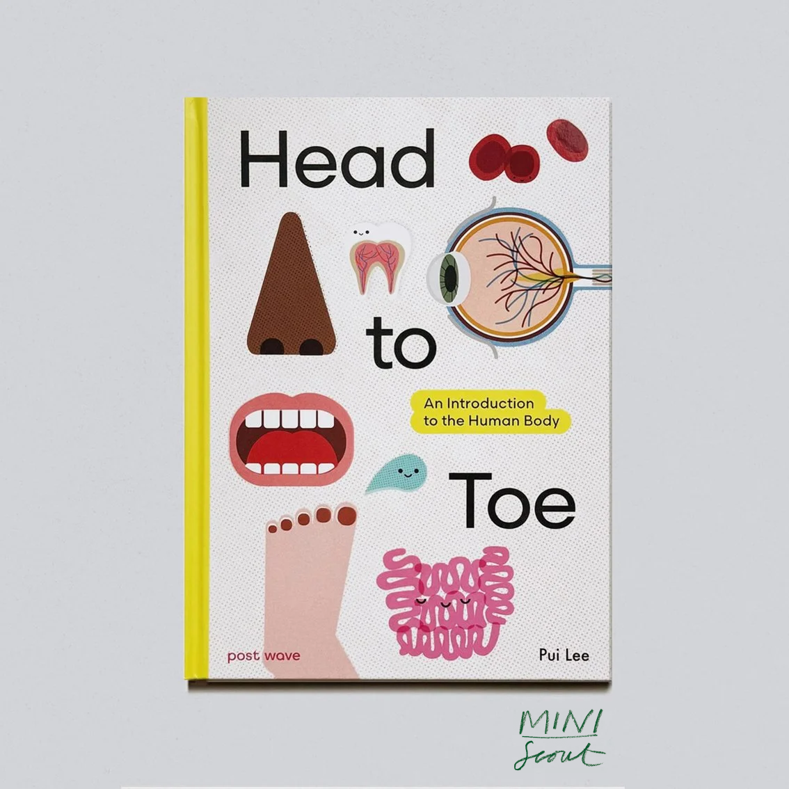HeadtoToe_1.png