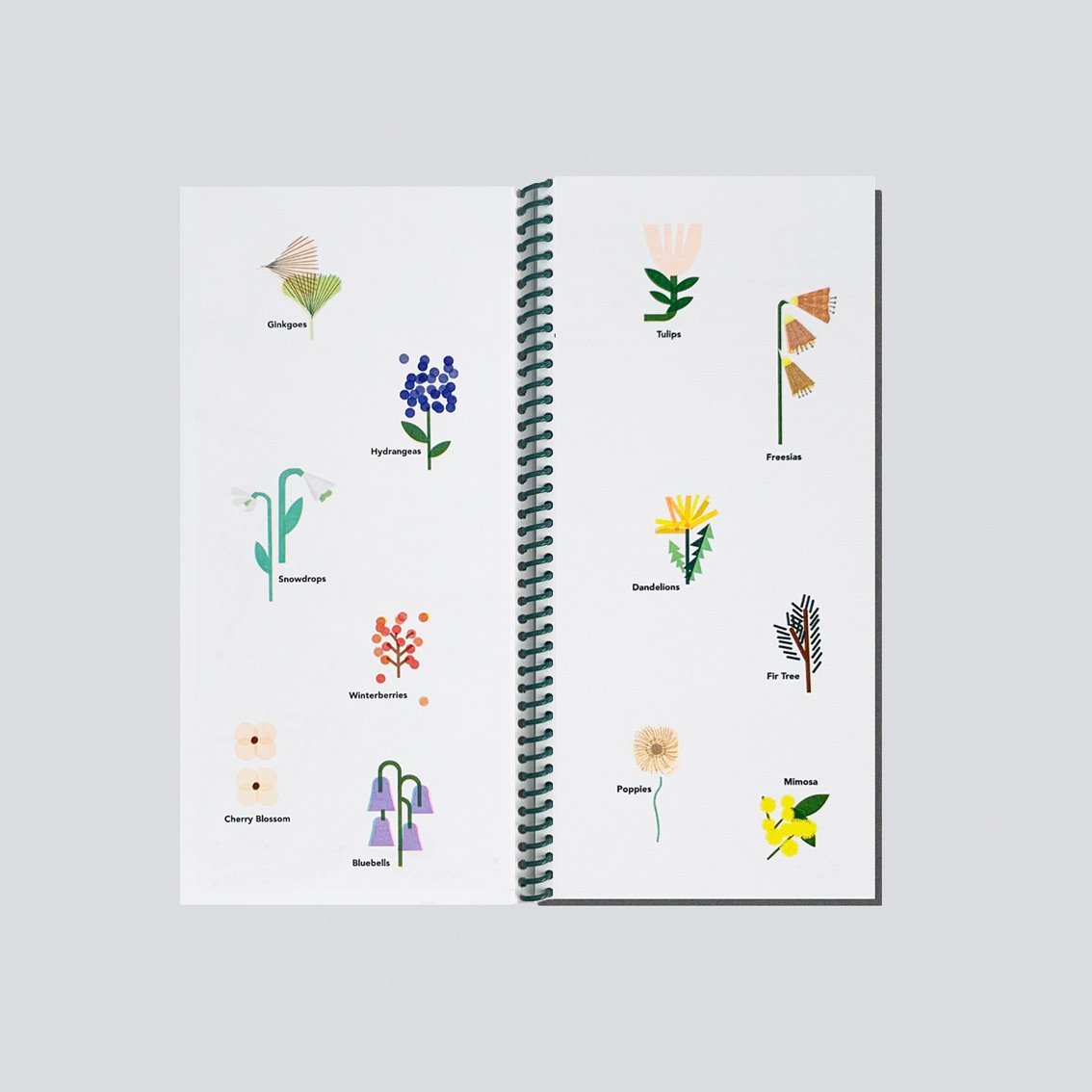 SE_FlowerBook19_LR.jpg