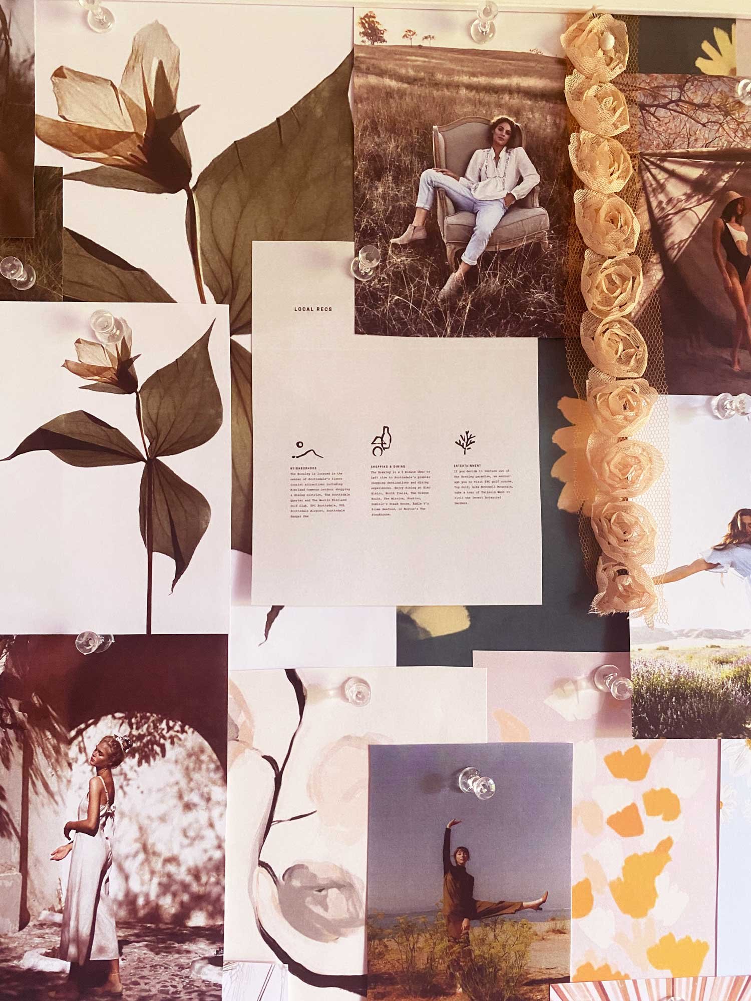 Heidi-Lou-Design-Harvest-Moodboard6.jpg