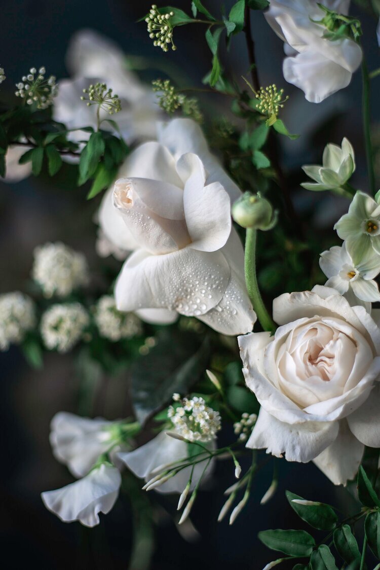 white+garden+roses+ephemera+nicoleabsher.jpg