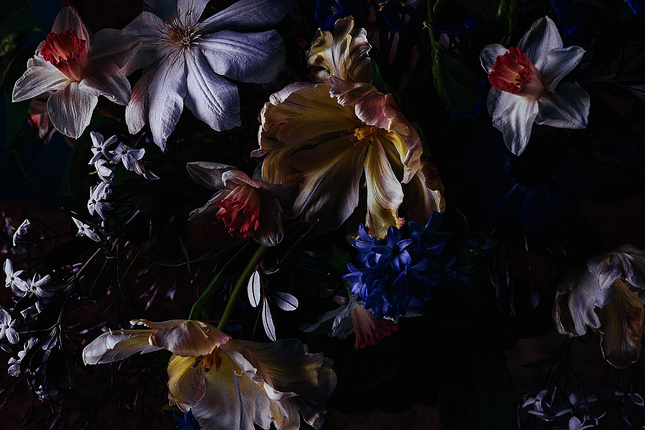 Early dawn with Michael O'Donohue