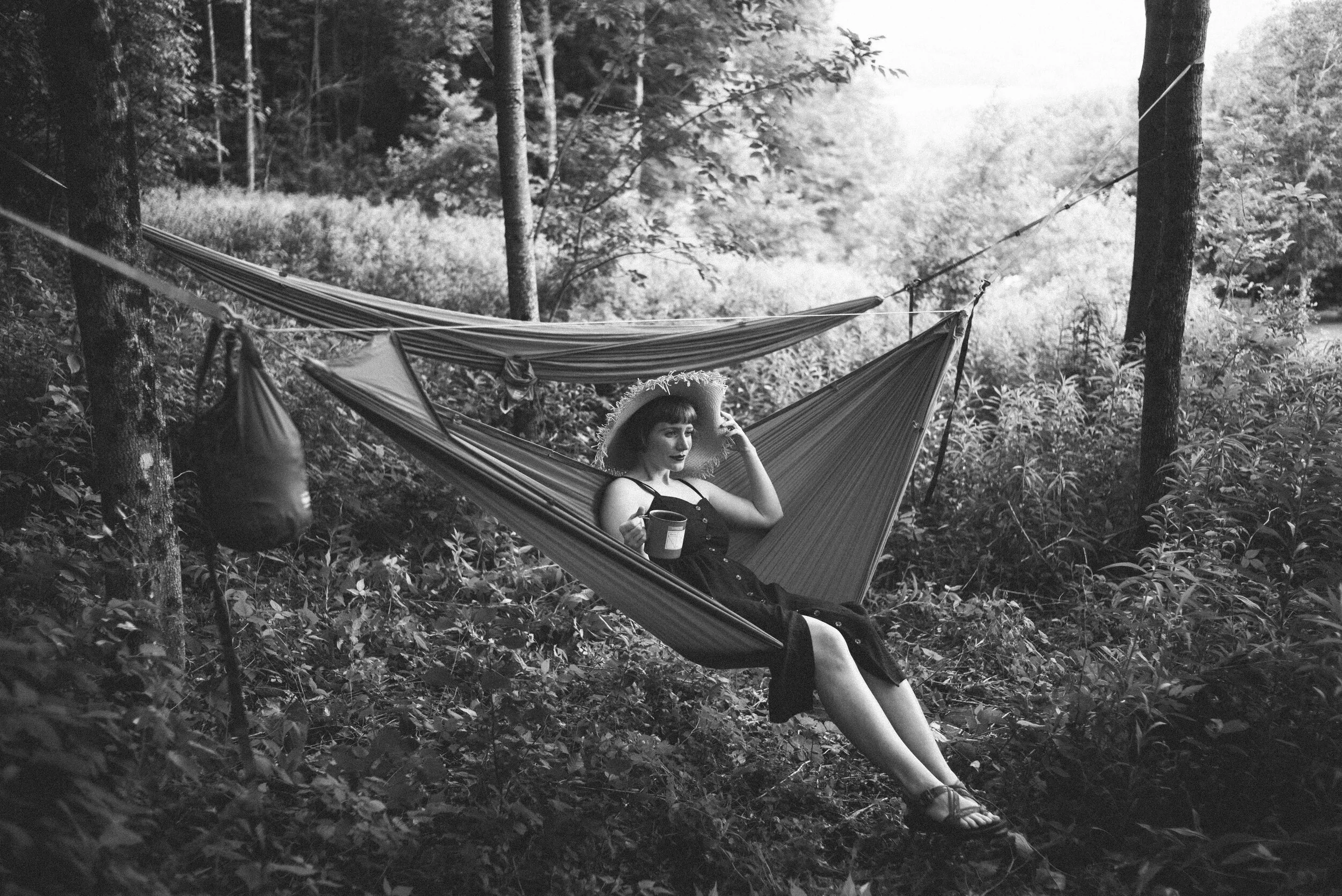 Flowering upstate in a cabin