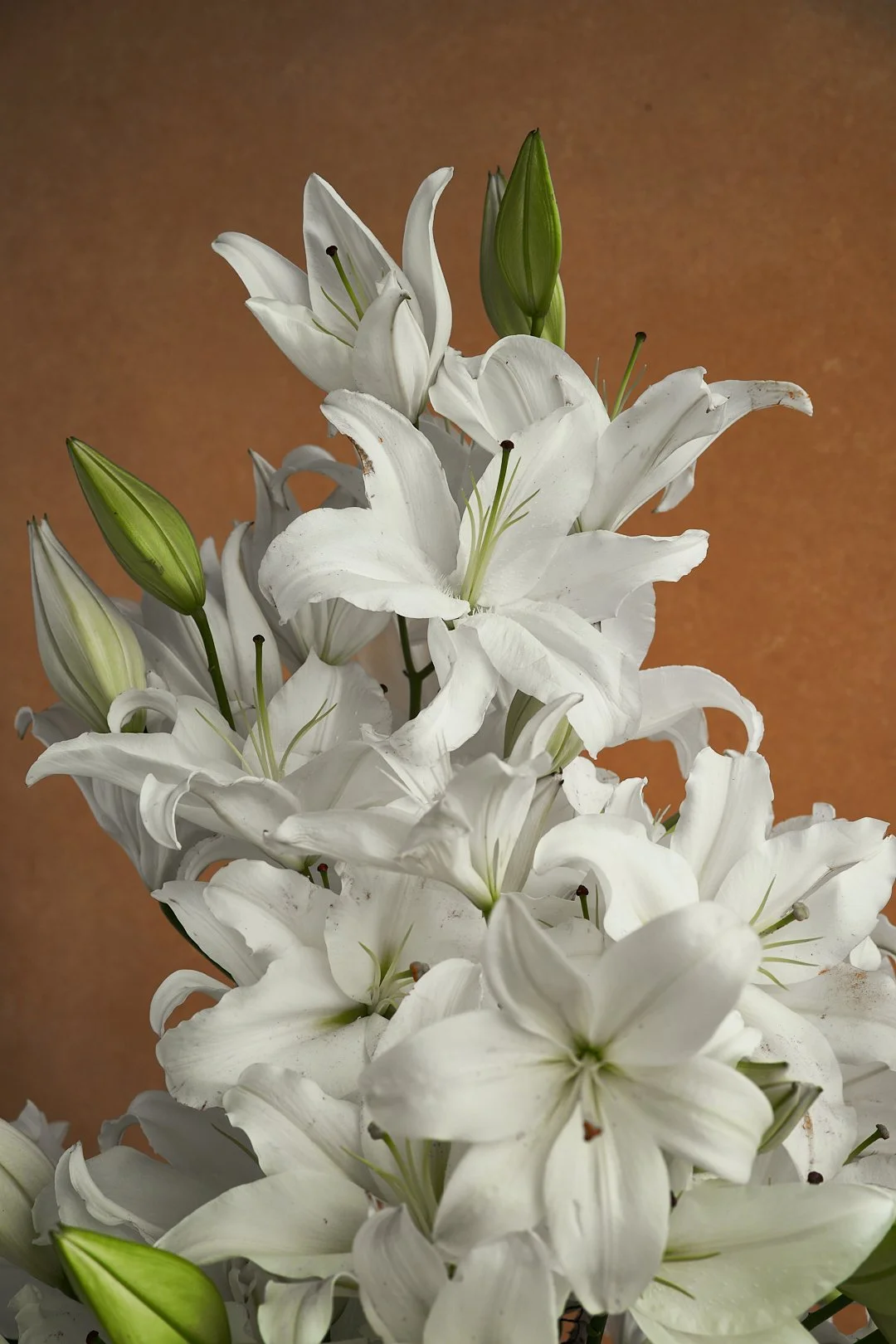 nicolebouquet 784.jpg