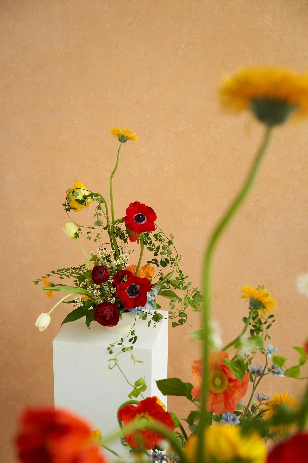 nicolebouquet 791.jpg