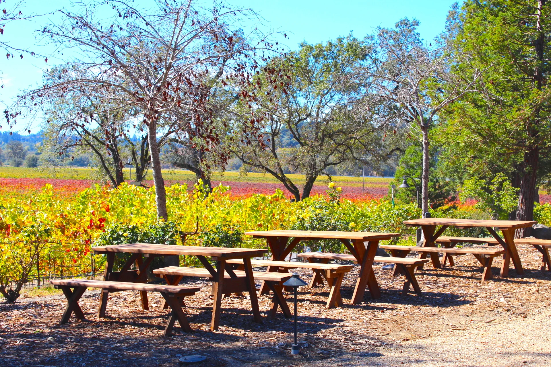 La Crema Winery