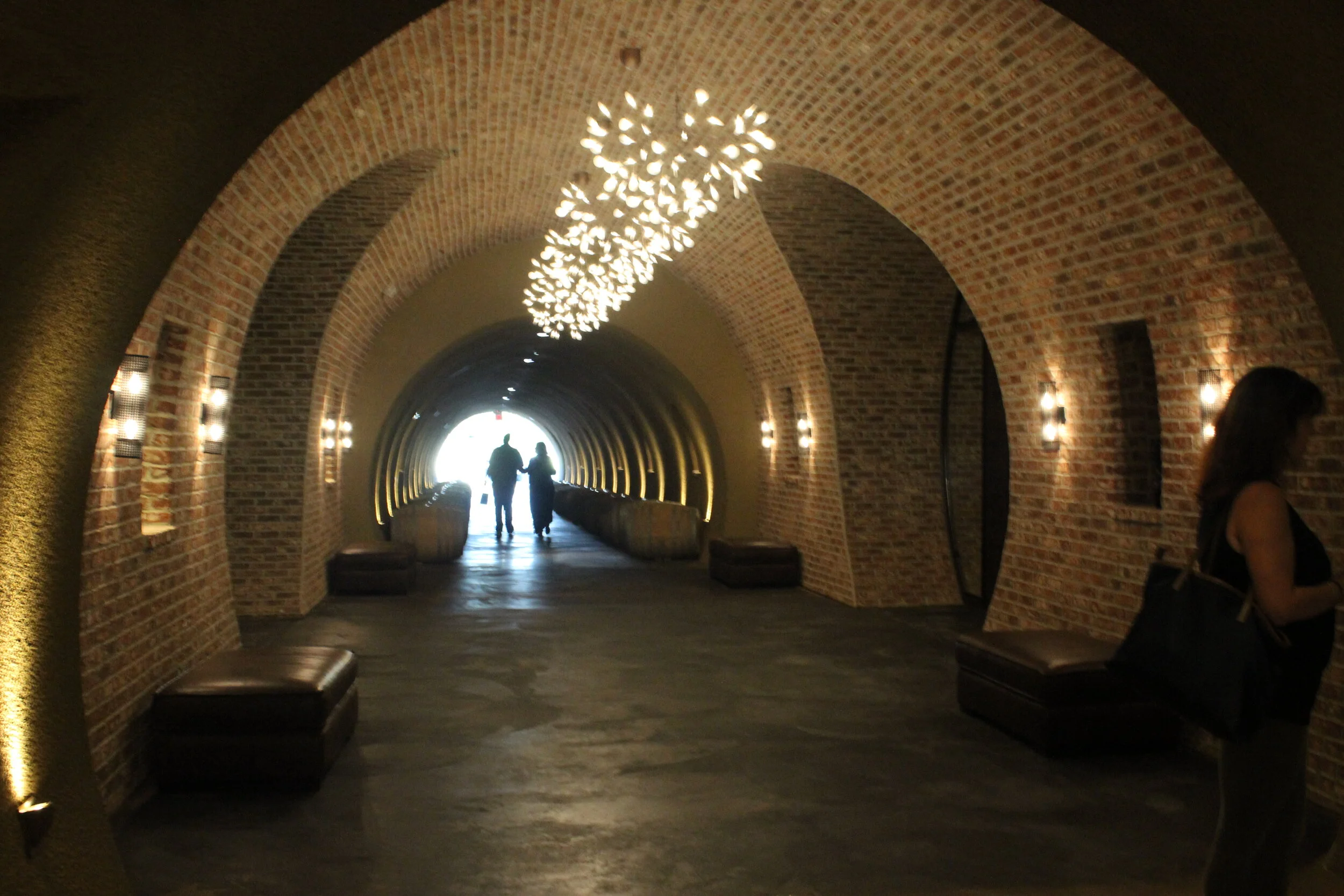 Top 7 Things To Do in Sonoma County