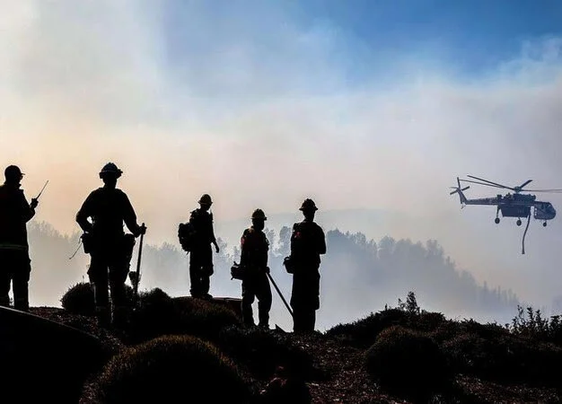 Stephen &amp; Walker Newsflash 