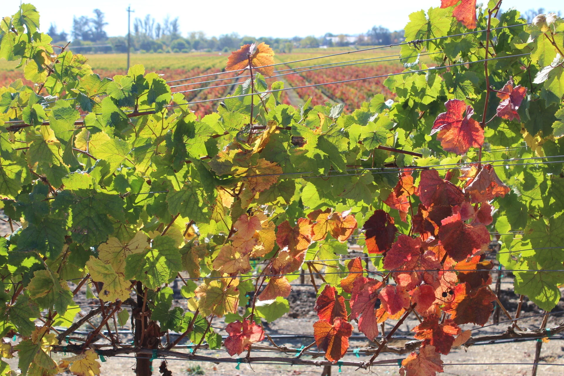 We’re Almost There! Check Here For Updates.