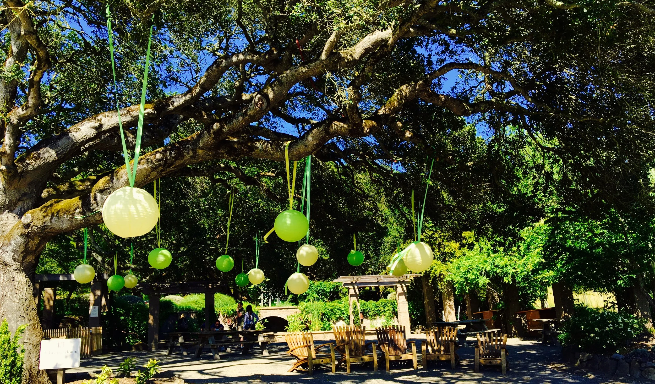 How To Plan For Wine Country