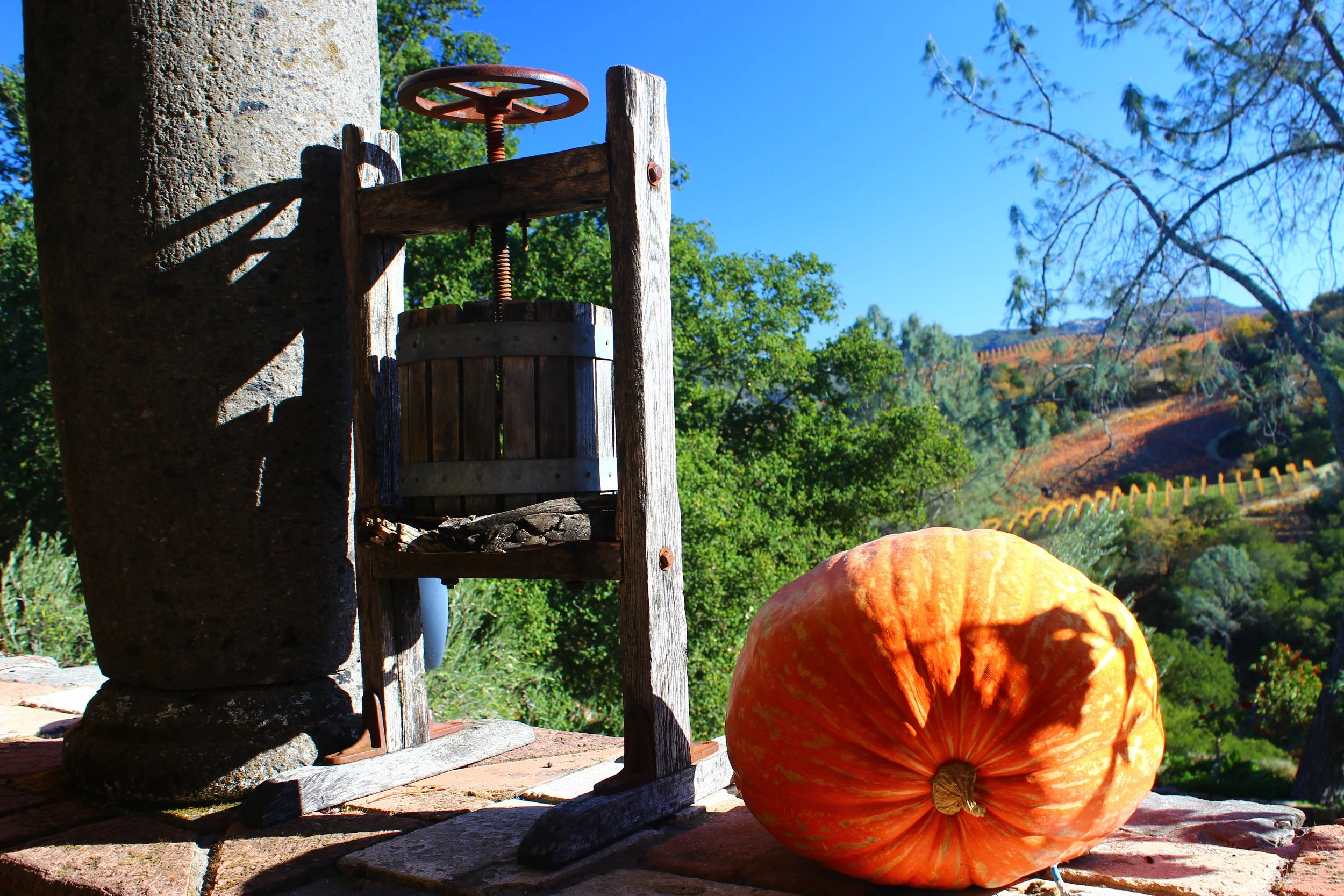 Thanksgiving Stuffing Recipe