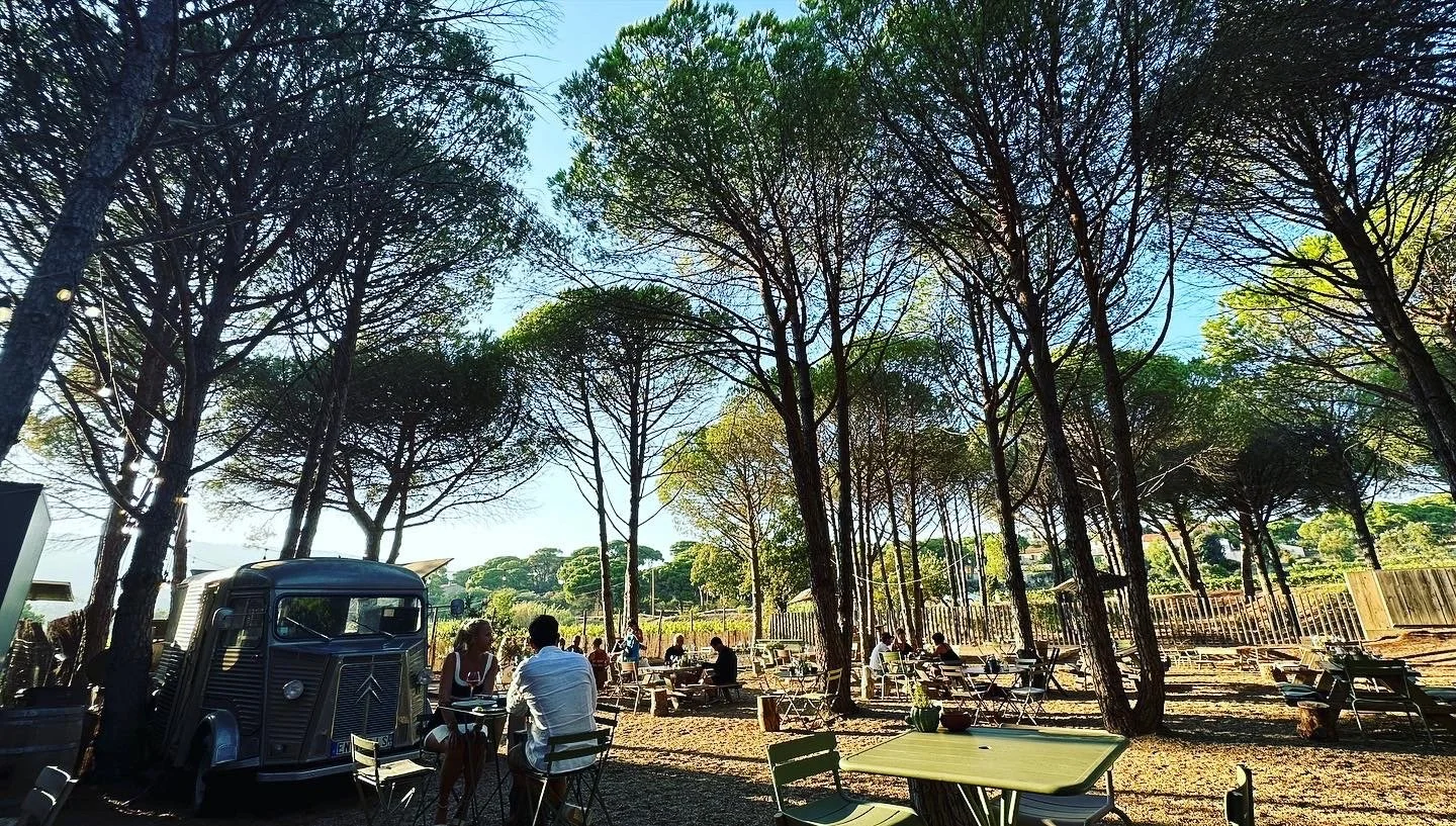 4 simple ways we enjoyed wine tastings in Southern France 