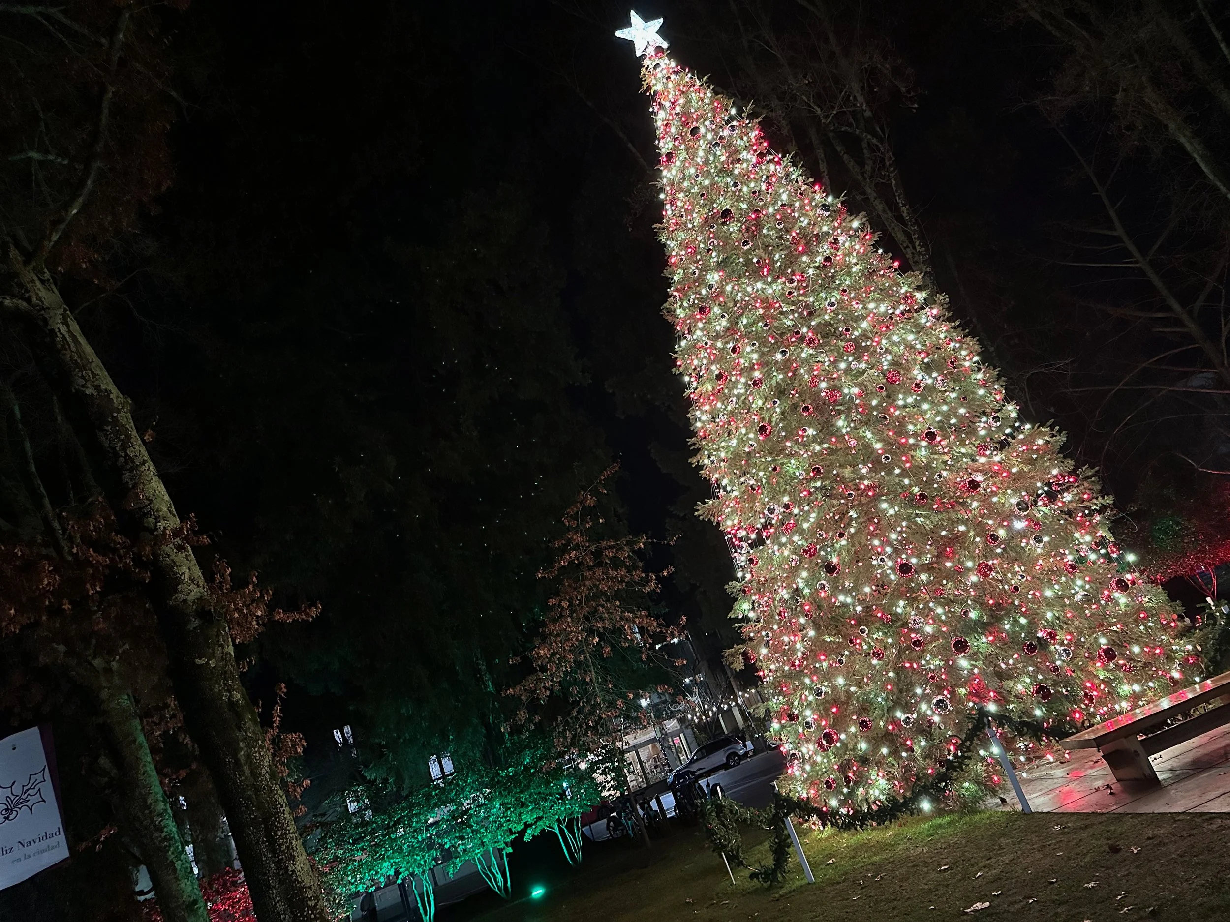5 Great Experiences During the Holidays