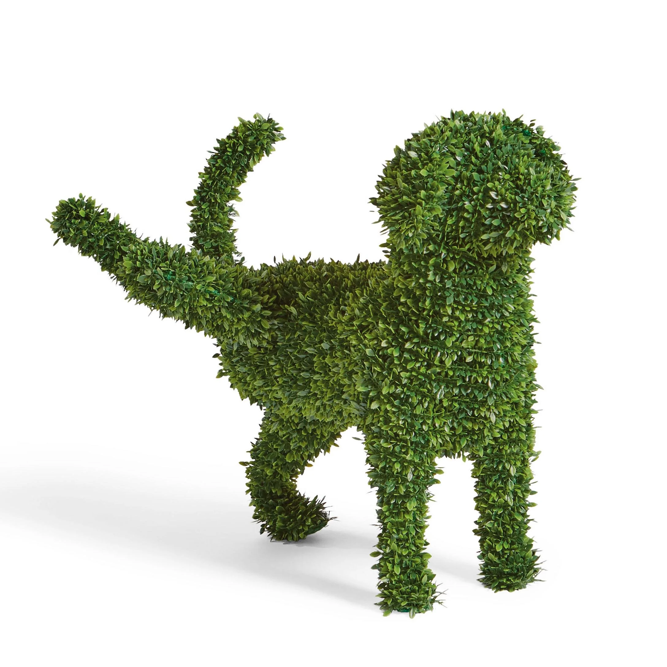 180315 BoxwoodDogs11.jpg