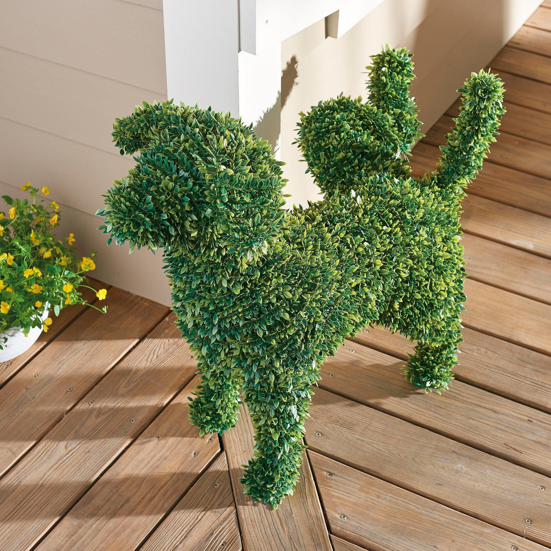 180315 BoxwoodDogs13.jpg