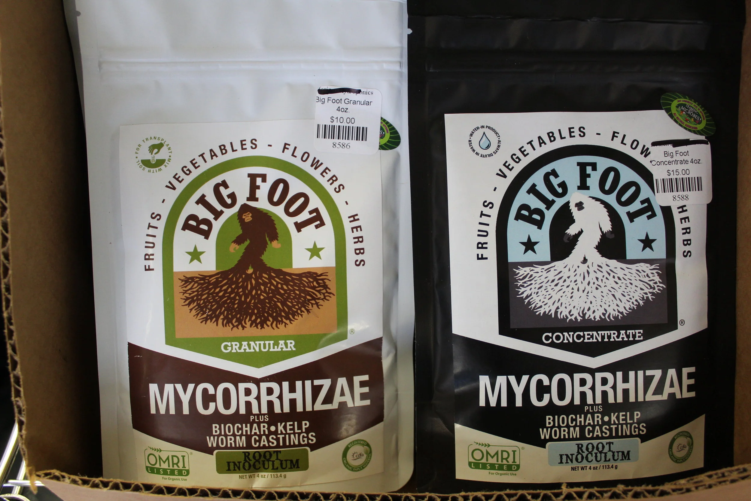 Big Foot Mycorrhizae