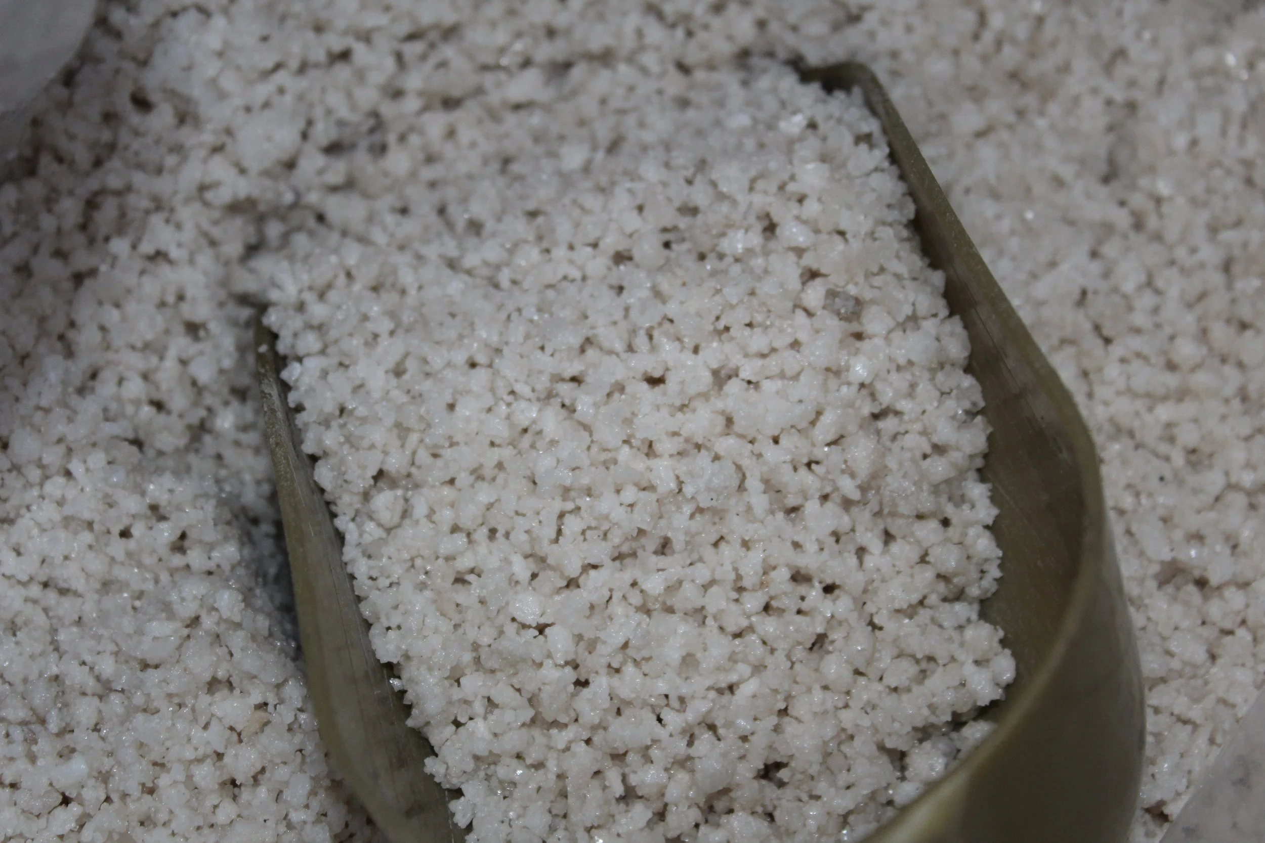 IMG_5069.JPG
