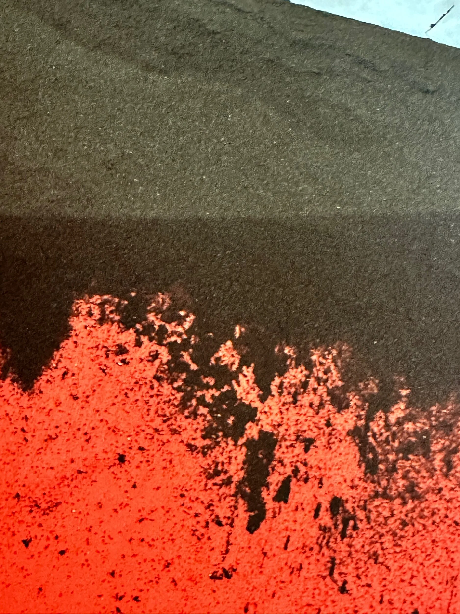 9BA8AE55-6165-40BF-BA58-F845AD430775