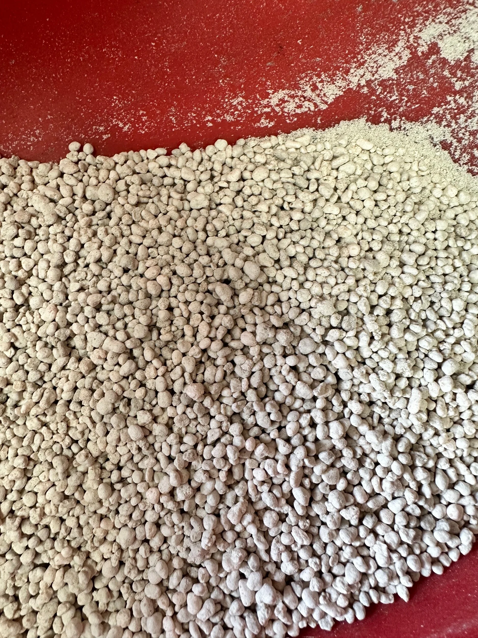 0AC38BAC-4631-49F4-BC5C-00D243A09FC7