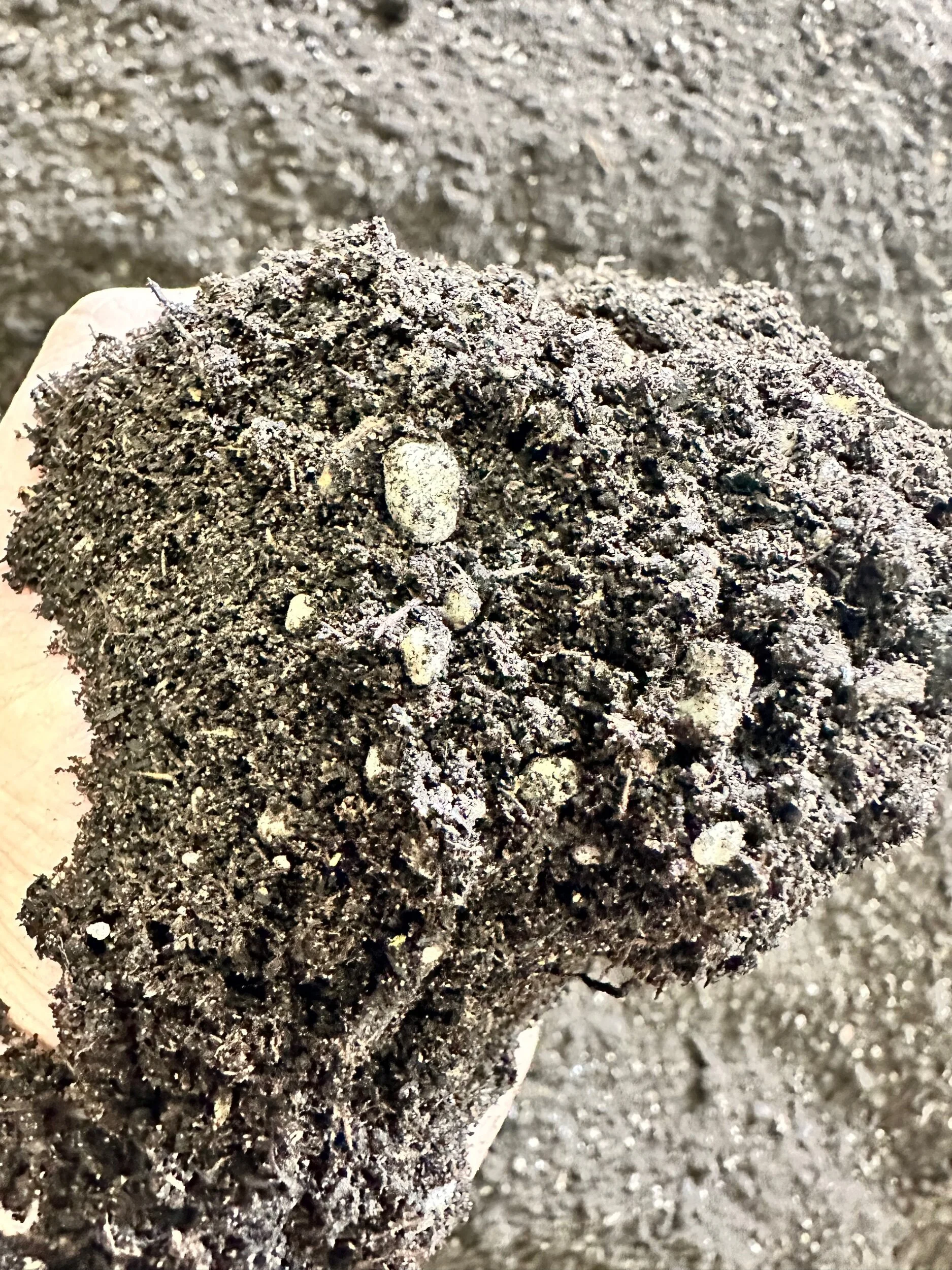 4D53A2DF-39DC-400F-9F76-D2D1E80C0691