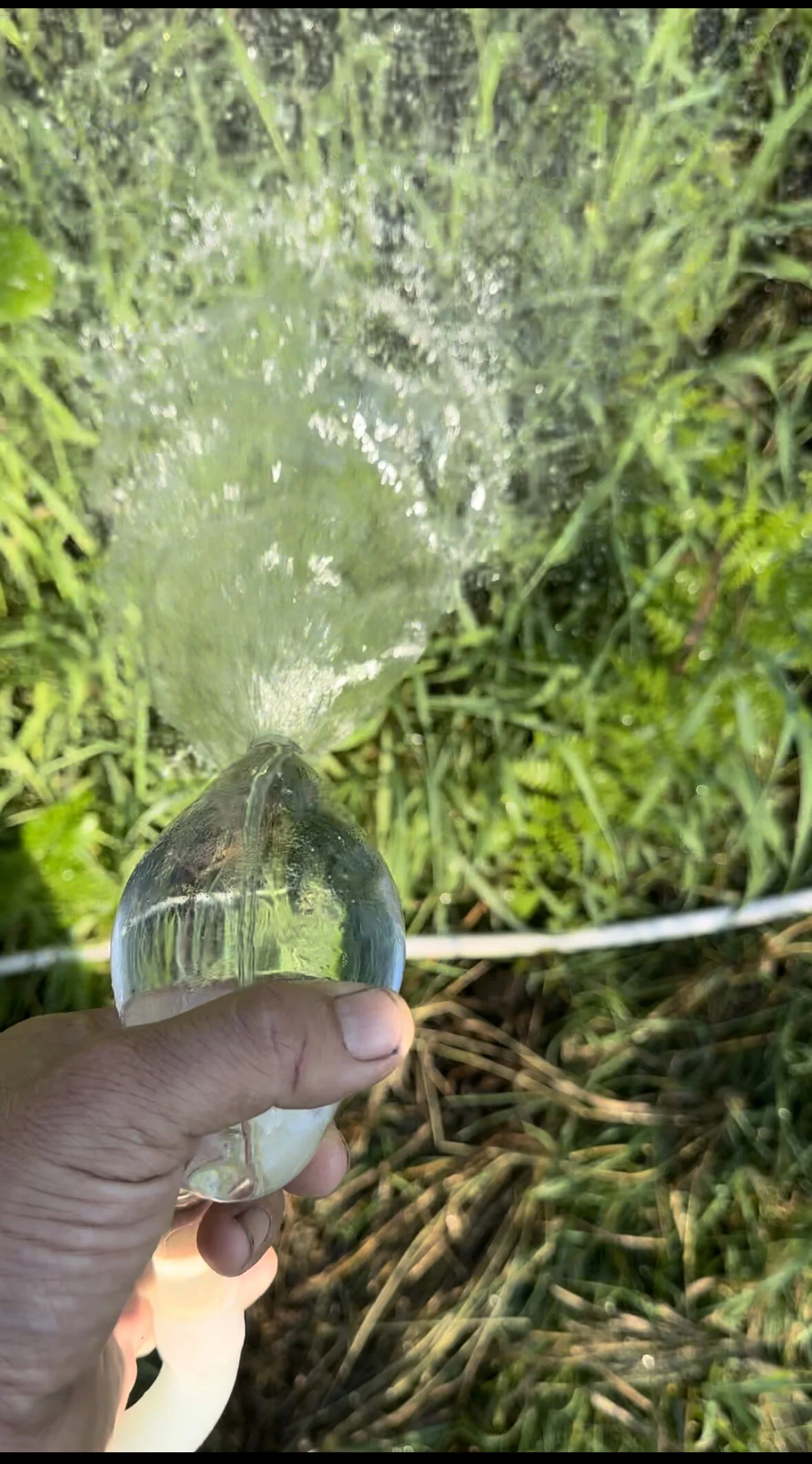 1ACF3449-46A6-4C61-9C97-348516F1F10F