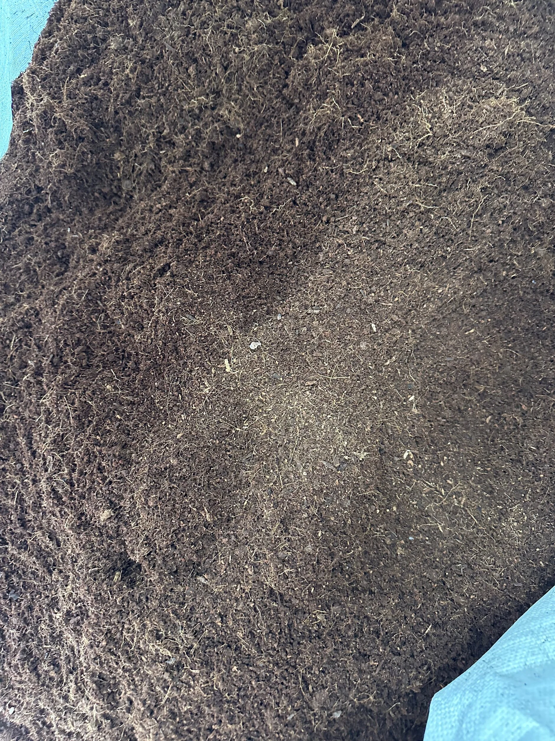 54DAF81B-4C00-490A-8DC9-1F93BC7F94E2