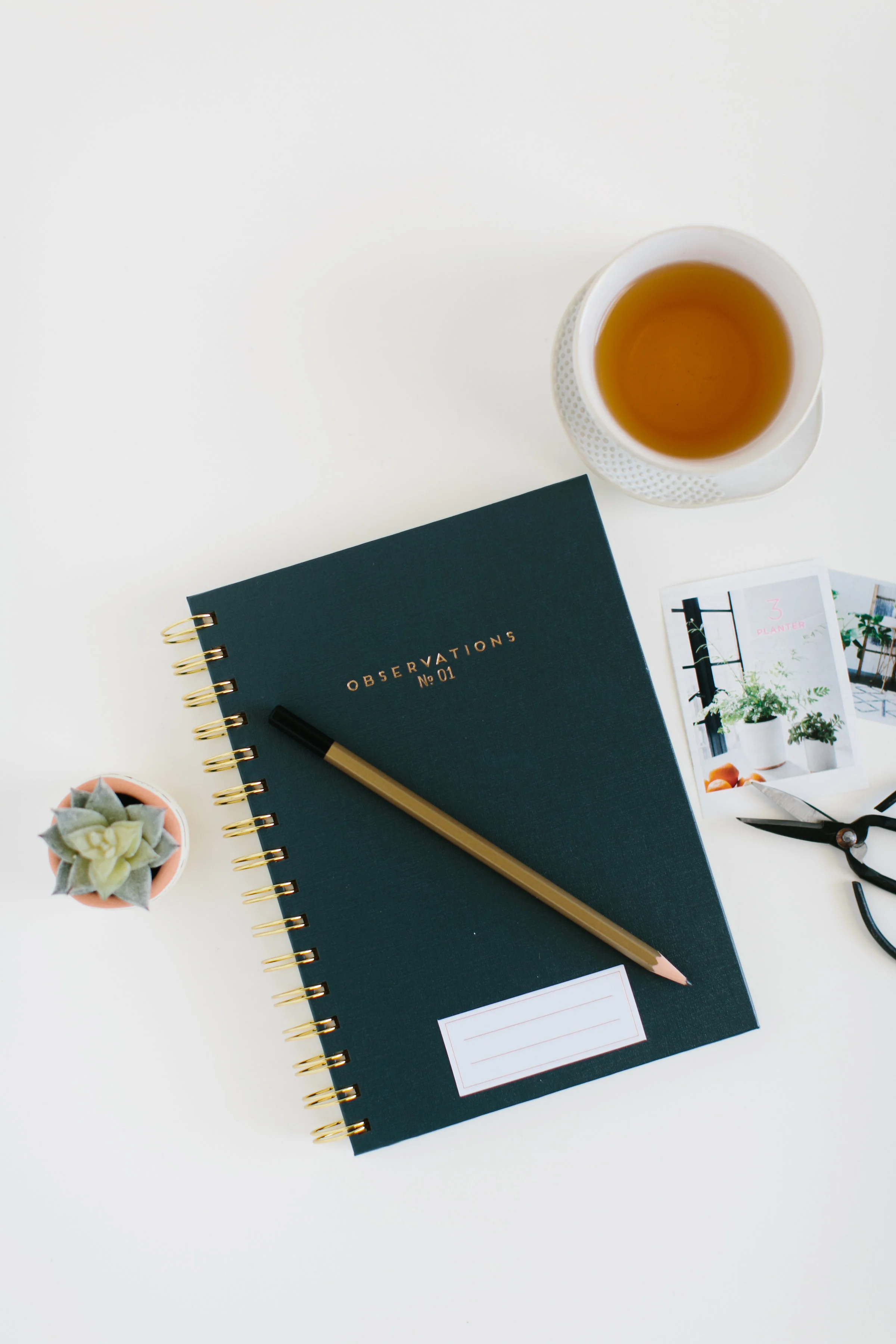 Easy Ways to Make an Impact and Create a Legacy (in 5 minutes or less)