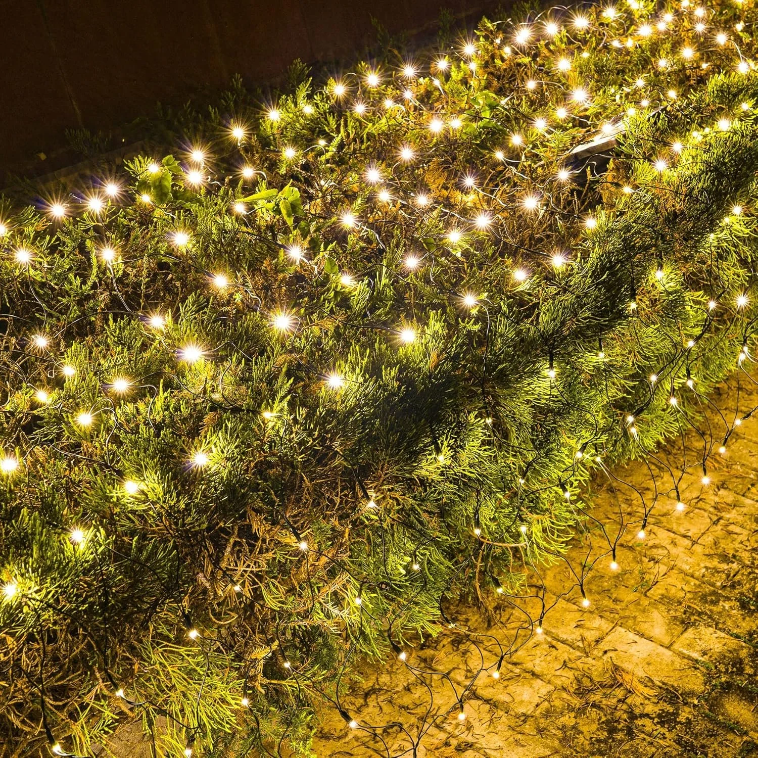 LED Net Lights