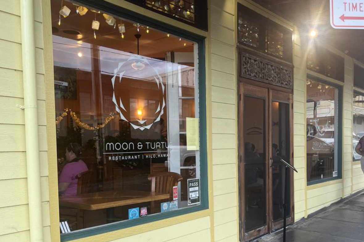 Moon and Turtle